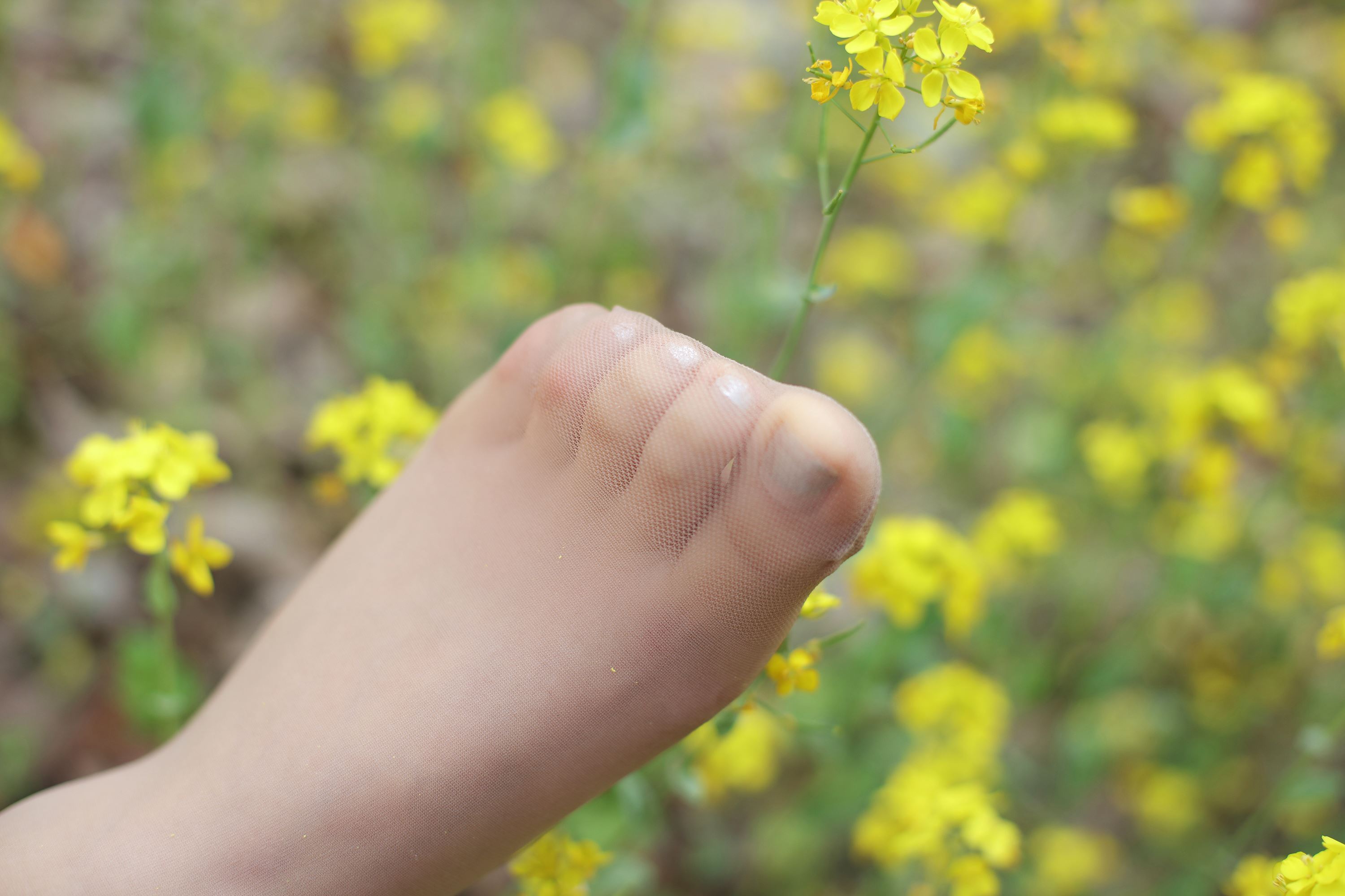 奈丝写真 NO.056 高高-故事的小黄花